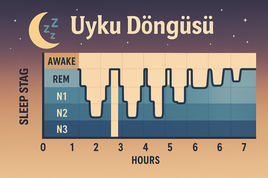 uyku döngüsü